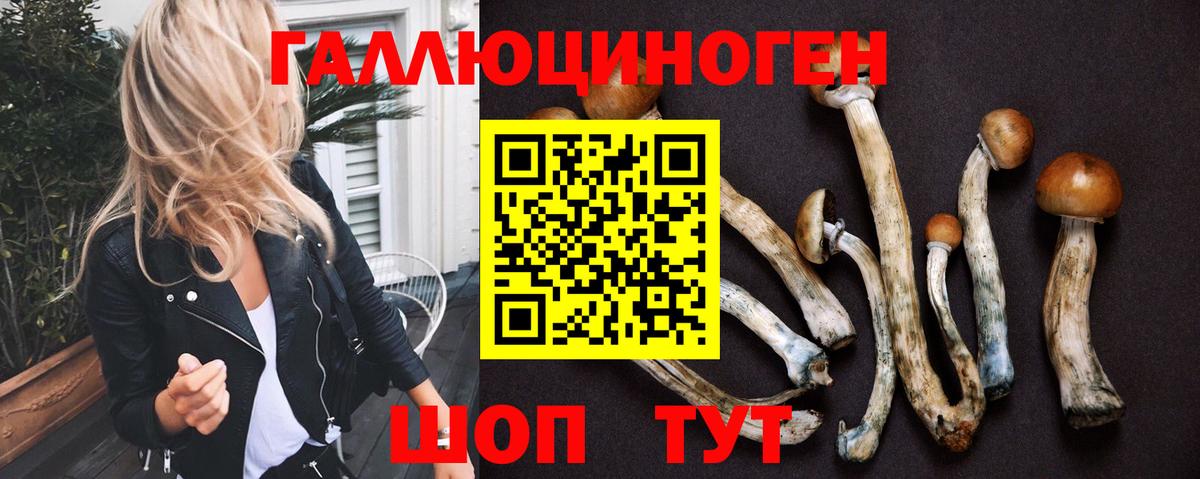 Орехово-Зуево  Псилоцибиновые грибы Psilocybine cubensis  Вход с VPN 