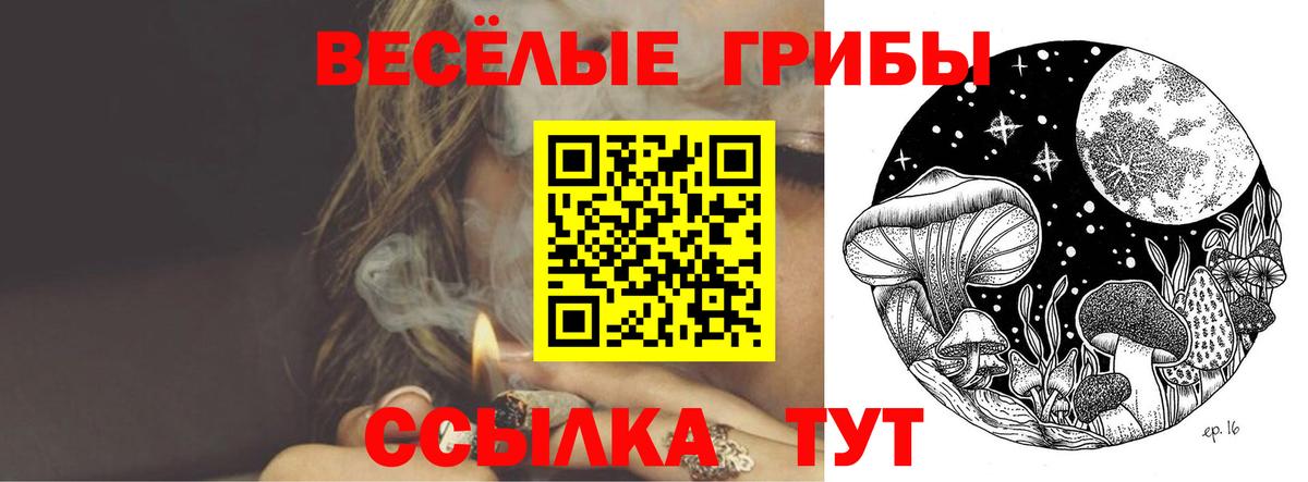 Псилоцибиновые грибы мухоморы Орехово-Зуево